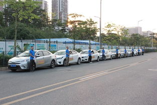 龍翔專業汽車陪駕 全方位服務，助您安全駕駛上路